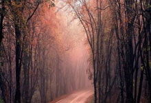 22/23賽季歐冠第2輪海法馬卡比1-3巴黎聖日耳曼 梅西傳射姆巴佩內馬爾破門.