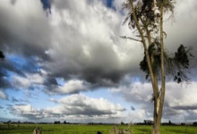 爱游戏AYX:荷兰足球名宿克鲁伊维特出任印尼男足主帅.