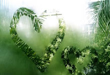 爱游戏AYX:毗邻上海网球大师赛举办地 网球成学校“新名片”.